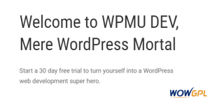 WPMU DEV Branda Ultimate Branding WordPress Plugin