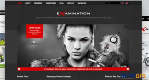 AIT Examination WordPress Theme