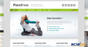 AIT Freestyle WordPress Theme