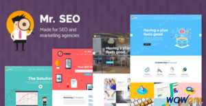 Mr. SEO SEO Marketing Agency and Social Media Theme