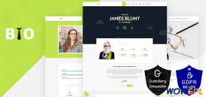 Resume CV Freelancer WordPress Theme