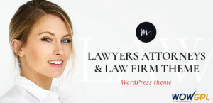 M Williamson Lawyer Legal Adviser WordPress Theme