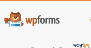WPForms Basic