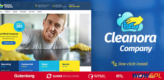 Cleanora Cleaning Services Theme