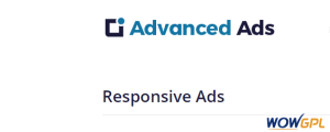 Advanced Ads Responsive Ads