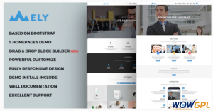 Mely Responsive Business Drupal Theme