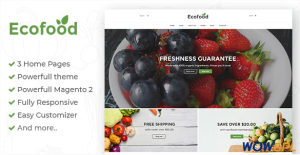 Ecofood Responsive Organic Store Magento 2 Theme