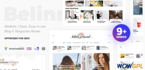 Belinni Multi Concept Blog Magazine WordPress