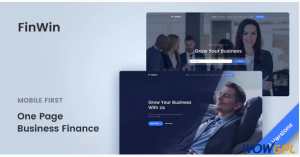 FinWin One Page Business Finance Template