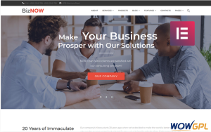 Biznow Business Consulting Elementor WordPress Theme