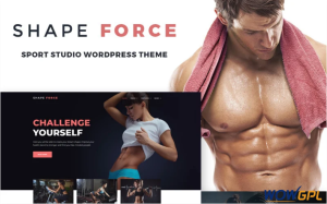 ShapeForce Sport Studio WordPress Theme