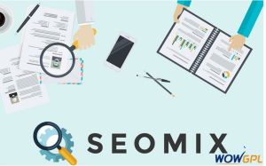 SEOmix SEO Company WordPress Theme
