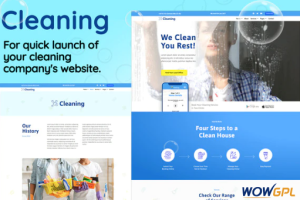 Cleaning Small Business Template Kit