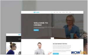 Crobiz Corporate WordPress Theme