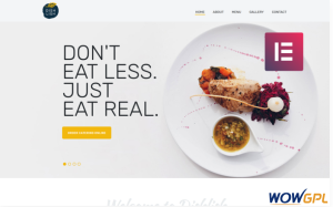 Dishlish Restaurant Multipurpose Classic Elementor WordPress Theme