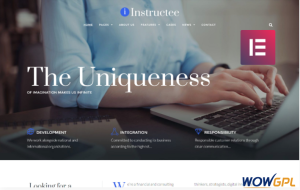 Instructee Consulting Services Elementor WordPress Theme