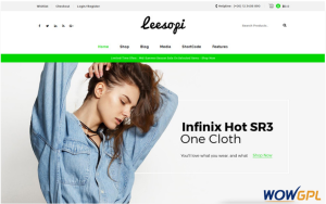 Leesopi Multipurpose Store WooCommerce Theme