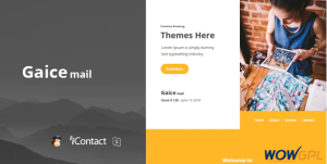 Gaice Mail Responsive E mail Template Online Access