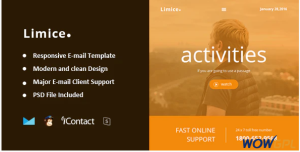 Limice Responsive E mail Template Online Access