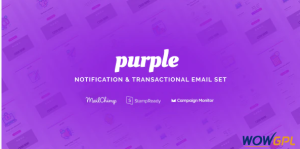 Purple Notification Transactional Email Templates