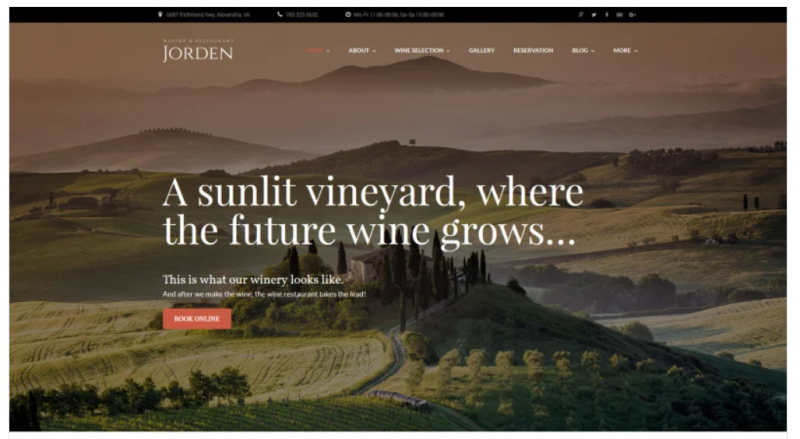 Jorden Wine Winery WordPress Theme
