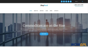 Hayford Investment Consulting Services Responsive WordPress Theme