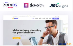 Dealom Classic Business Agency Elementor WordPress Theme