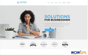 Soltros Business Services Joomla Template