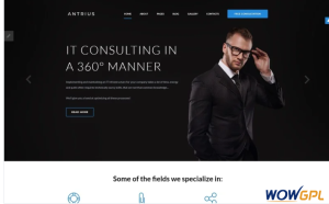 Antrius Business Consulting Joomla Template
