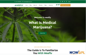 Weefly Medical Cannabis Marijuana WordPress Theme