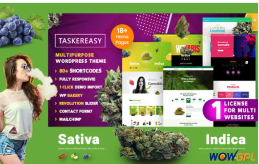 Taskereasy Cannabis Multipurpose WordPress Theme