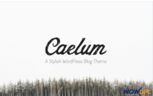 Caelum Minimalistic WordPress Theme