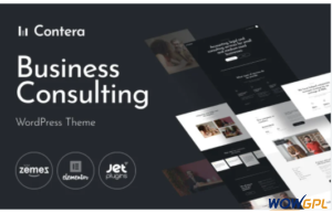 Contera Advisor Consulting Business Finance WordPress Theme