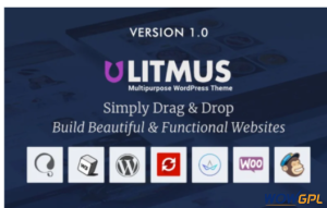 Litmus Creative Multipurpose WordPress Theme