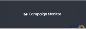 Profile Builder Campaign Monitor