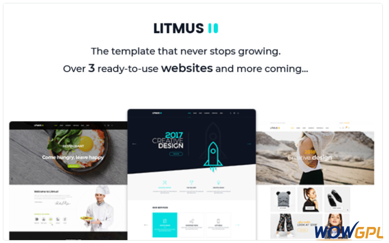 Litmus Creative Multipurpose Website Template