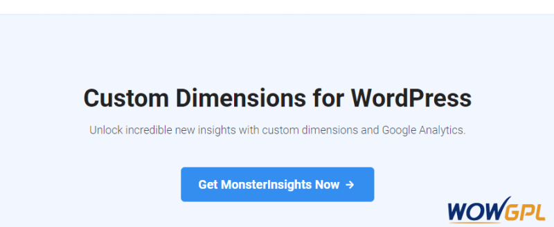 MonsterInsights Custom Dimensions Addon 1