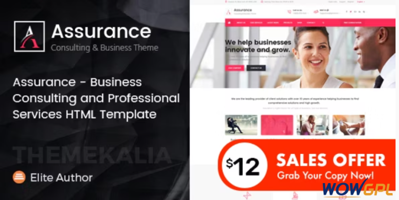 Assurance Business Consulting Services HTML Template