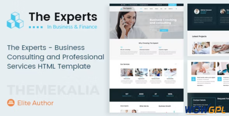 The Experts Business Consulting Template