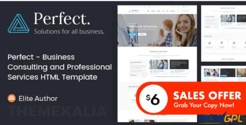 Perfect Business Consulting and Professional Services HTML Template
