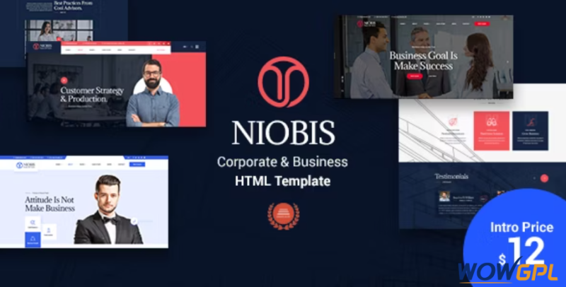 NioBis Corporate Consulting Template