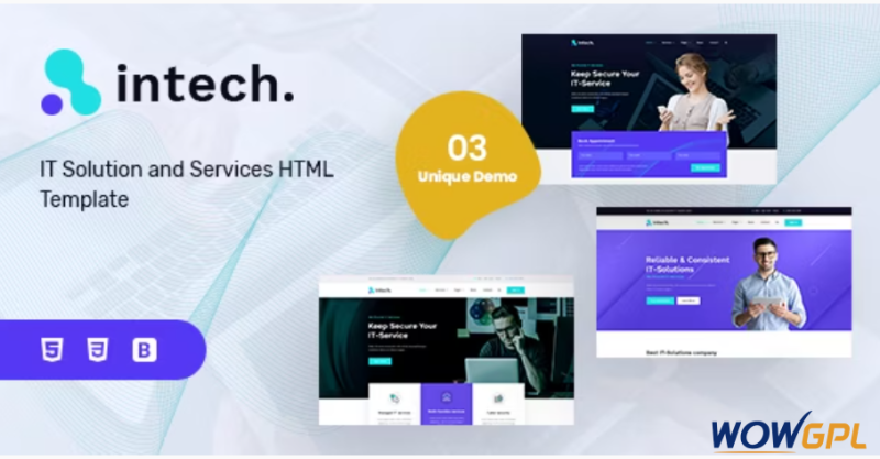 Intech IT Solutions and Services Company Template