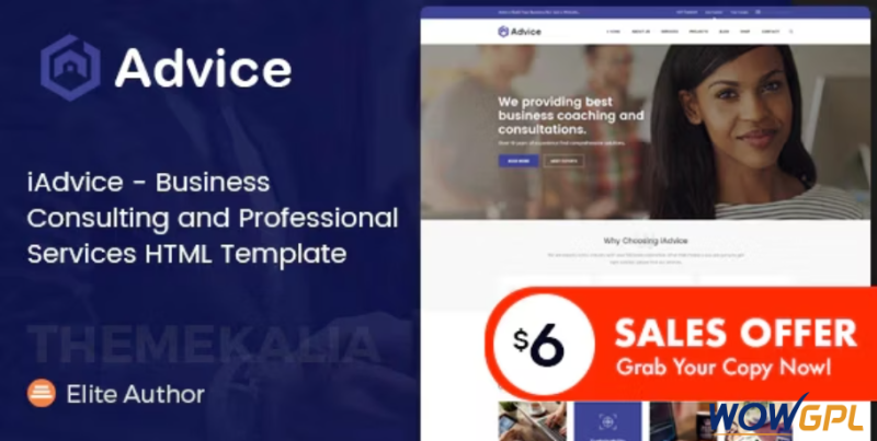 iAdvice Business Consulting and Professional Services HTML Template