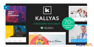 KALLYAS 4.19.5 Activated – Responsive Multi-Purpose WordPress Theme