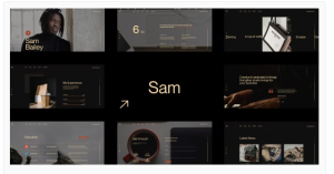 Sam Bailey - Personal CV/Resume WordPress Theme 1.0