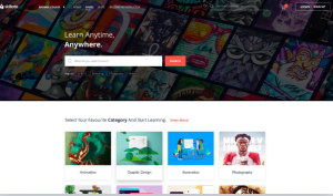 Skillate Theme 1.26