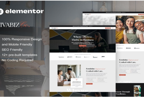 Vivabiz - Feminine Business Coaching Elementor Template Kit 1.0
