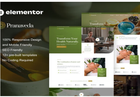 PranaVeda - Ayurveda Treatment & Spa Elementor Pro Template Kit 1.0