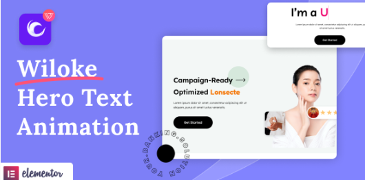 Wiloke Hero Text Animation for Elementor 1.0