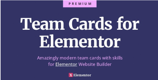 Team Cards for Elementor 1.0